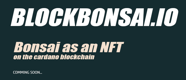 Blockbonsai